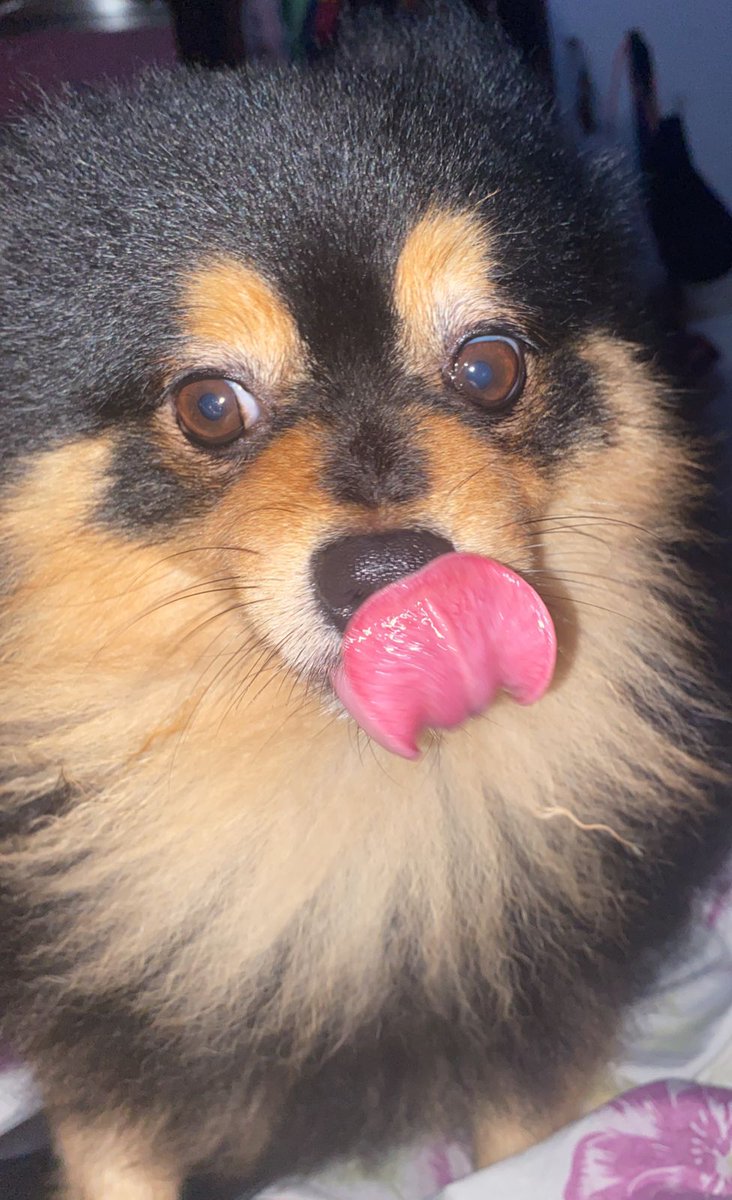 some pubs (pic chamativa/my son)
twitch.tv/amindota