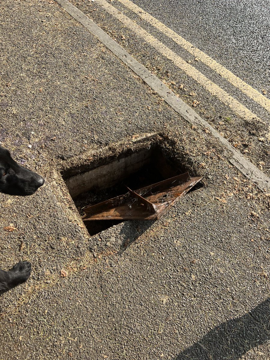 Lozfish's tweet photo. @RBWM can you please do something about the loose manhole cover on All Saints Avenue that I know has already been reported to you. I just fell through it. Fortunately I am not pregnant, a child or vulnerable and have escaped with a very bloody knee. It could have been a lot worse https://t.co/jhxa4xzuWc