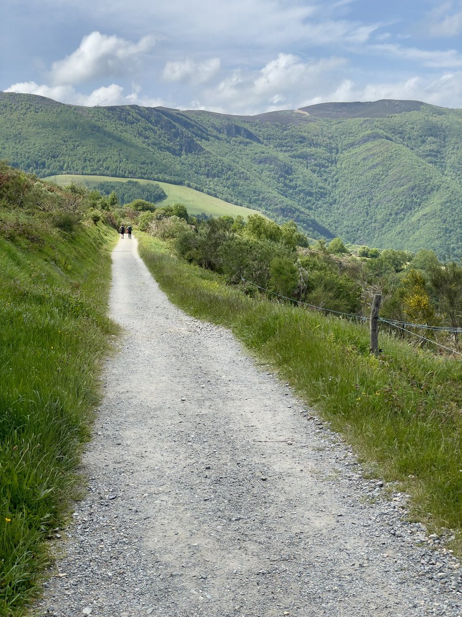 FlaglerFilms's tweet photo. Walking the Camino - Day 31
O Cebreiro to Triacastela
24.5km / 15.2 miles
.
#caminofrances #ocebreiro #camino_xacobeo #visitspain #caminos #caminosantiago #walkingvideo #walks #trails #thetrek #buencamino #sunrise #happyplace #outdooradventures #flaglerfilms @camino_xacobeo https://t.co/xKpPfwZlWn