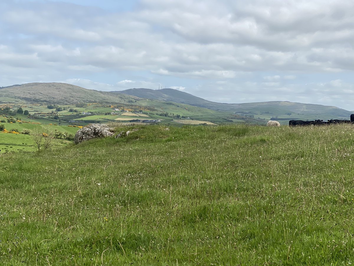 MsProcurement's tweet photo. Could someone donate a new spine here please, size short-arse. Today’s dodgy Culchie duties included, hooking the sheep hurdles with my ankle whilst gripping the trailer like grim death and dodging sledgehammer strikes #FenceRepairs #TodaysOffice. https://t.co/5sGJXHtDWk