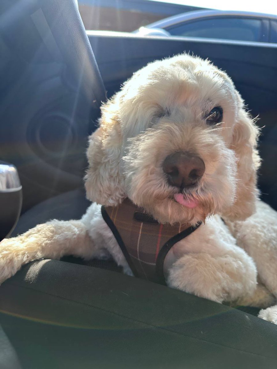 Happy Bitcoin Pizza Day #Coopernators!

On this day, the famous transaction was made for buying 2 pizzas with 18.000 #bitcoin 🤯

What are your thoughts on this #CoopStars? 

Surely could afford more pizzas with that today! 😅

Have a great rest of the Monday! ❤️

#Crypto #Web3