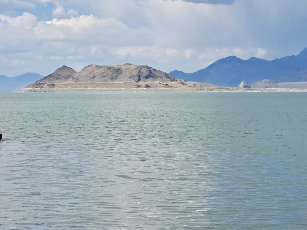 Thanks, Ken Adams for a great fieldtrip at GSA Cordilleran Section Meeting 2023! #CDGSA2023 #Quaternary #Geology #Geochronology #Paleoclimate