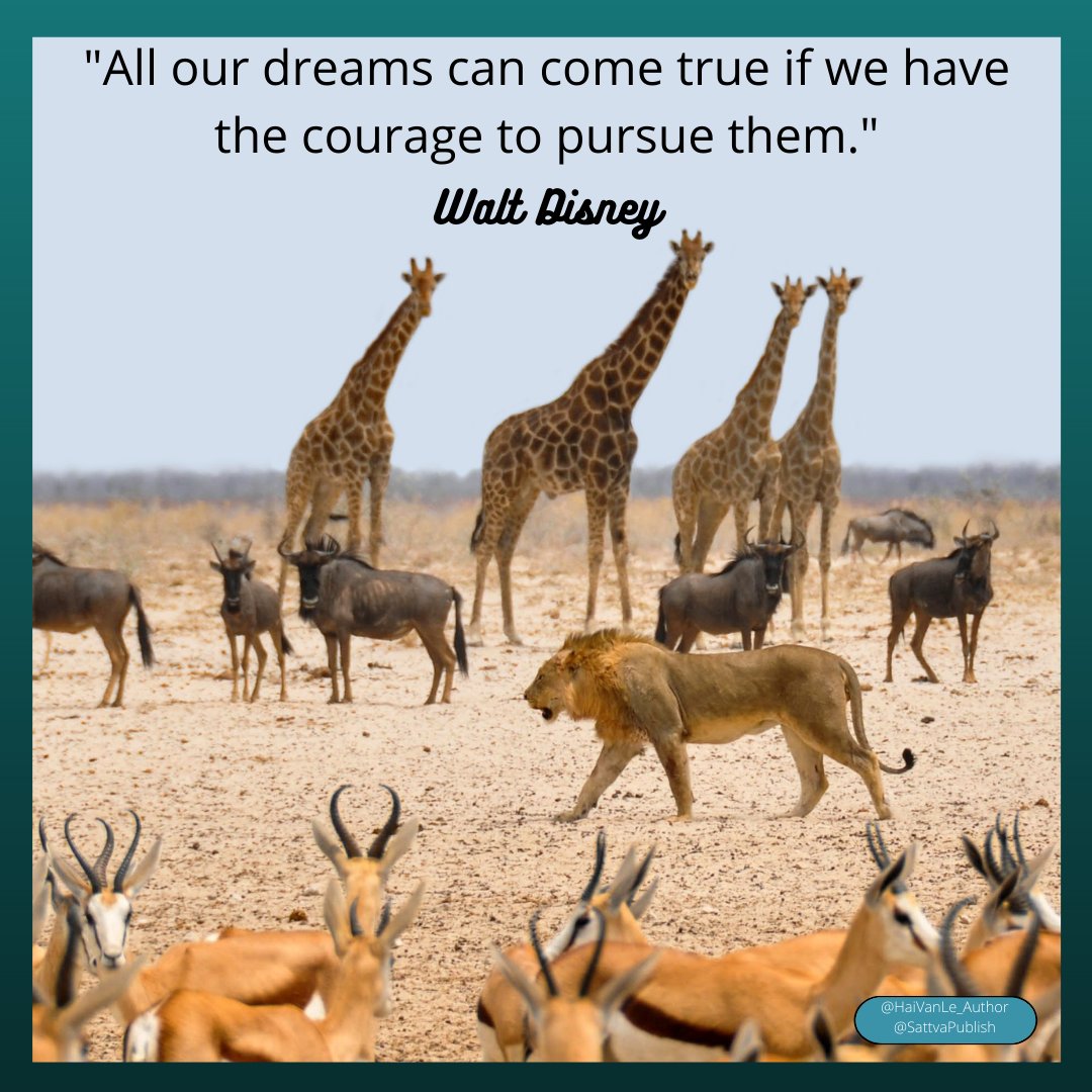All our dreams can come true if we have the courage to pursue them.
#quote by Walt Disney

💫🐪🐳🐞🐙🦉🐘🐅🌏🦋🕊️✨
#JoyTrain #ConsciousPlanet #BiodiversityDay2023 #StarfishClub #inspiration #MotivationMonday #SuccessTRAIN #Blessings & #Gratitude @Dianne__LadyD 🌍🦉🌟