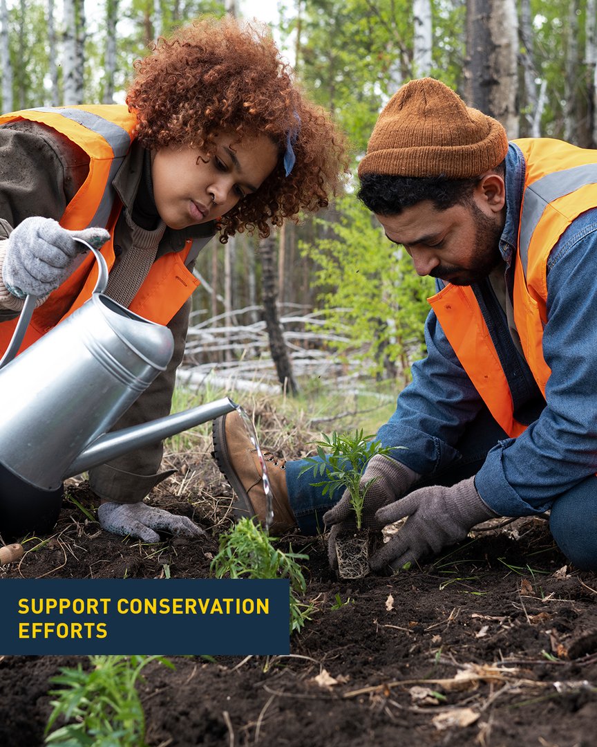 GB The biodiversity is crucial for the health and well-being of our planet!
On this World Biodiversity Day, let‘s all do our part to protect the incredible diversity of life on our planet! 🌍 

#WorldBiodiversityDay #Biodiversity #ProtectOurPlanet #Planetiers #Iamaplanetier