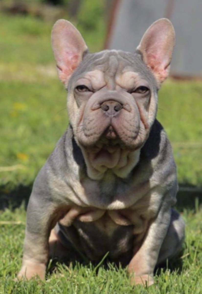 Arron Carson tweet media