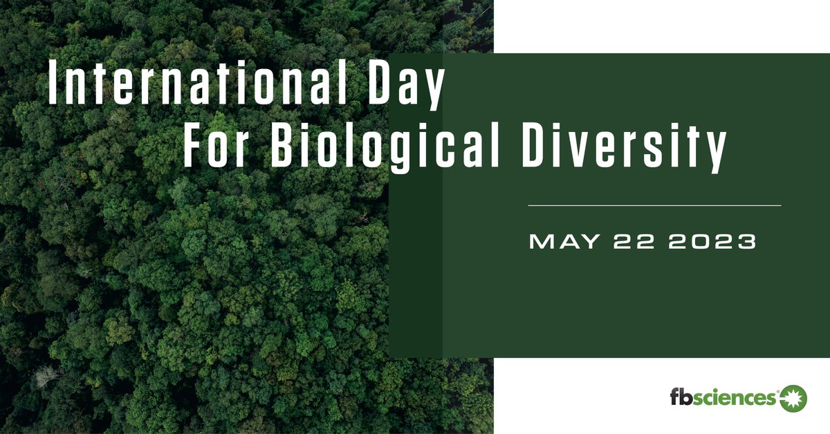 ValentBioStim's tweet photo. May 22 has been declared the #InternationalDayForBiologicalDiversity. Inefficient use of resources &amp; GHG emissions are among the most prevalent causes of loss of #biodiversity. The 2023 theme #BuildBackBiodiversity highlights the importance of mitigating GHG emissions &amp;... https://t.co/syVPkdvWei