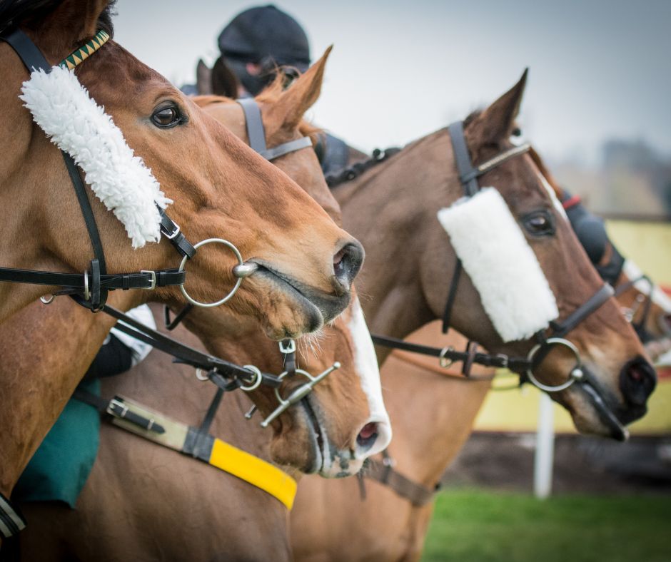 Off to the Brigadier Gerard Evening at Sandown this Thursday?🏇

Need somewhere to meet for a drink & a bite to eat before the races?

La Terraza is ideal - we're just a couple of miles from the racecourse! 👌

#sandownpark #tapasbar #waltononthames