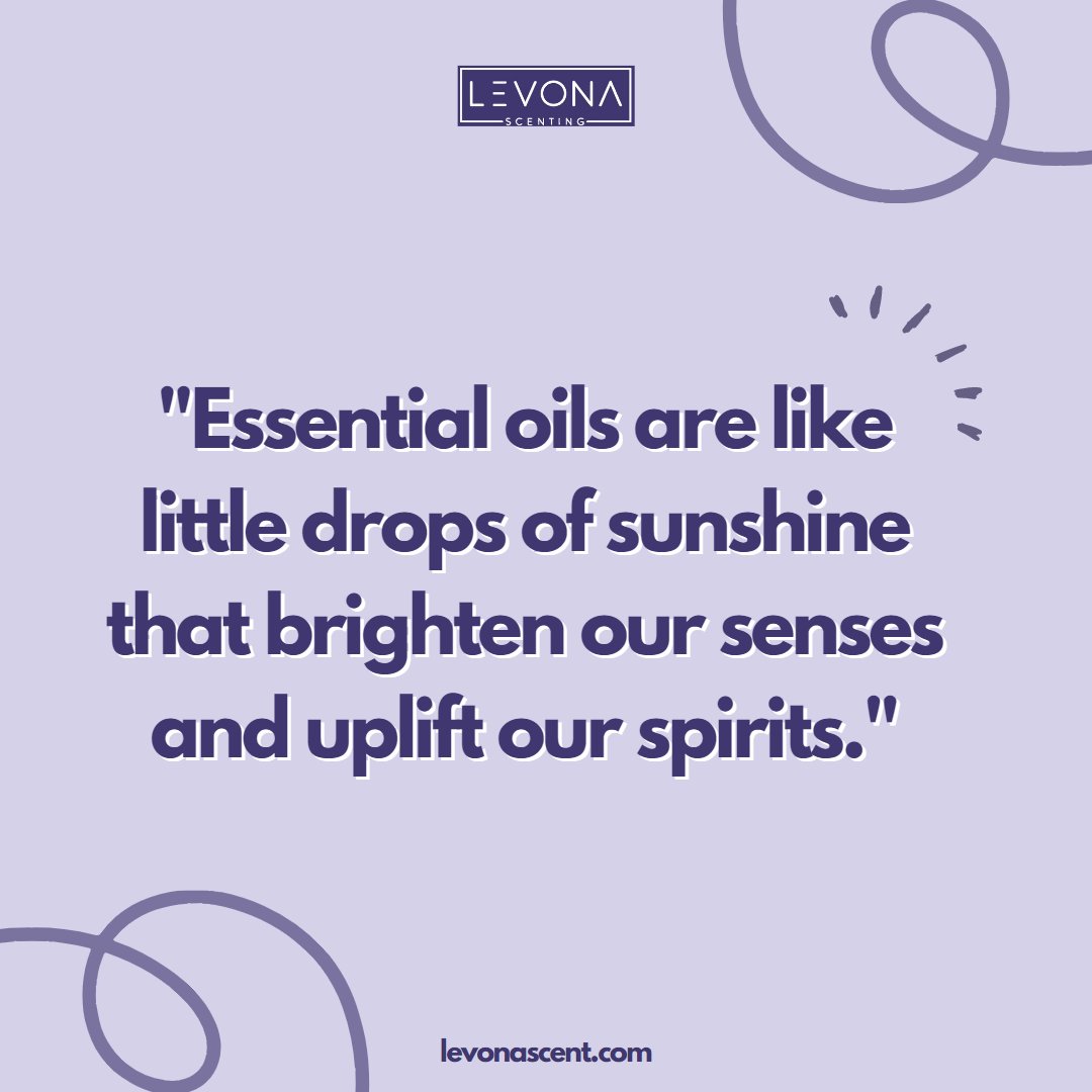 Monday blues? Not with the sunshine in a bottle!
Essential oils are here to elevate your mood and add a spark to your day.

Happy Monday everyone! 🥰

#essentialoils #elevateyourmood #MondayMotivation #motivationalquotes #quoteoftheday #MondayMood #Mondayvibes