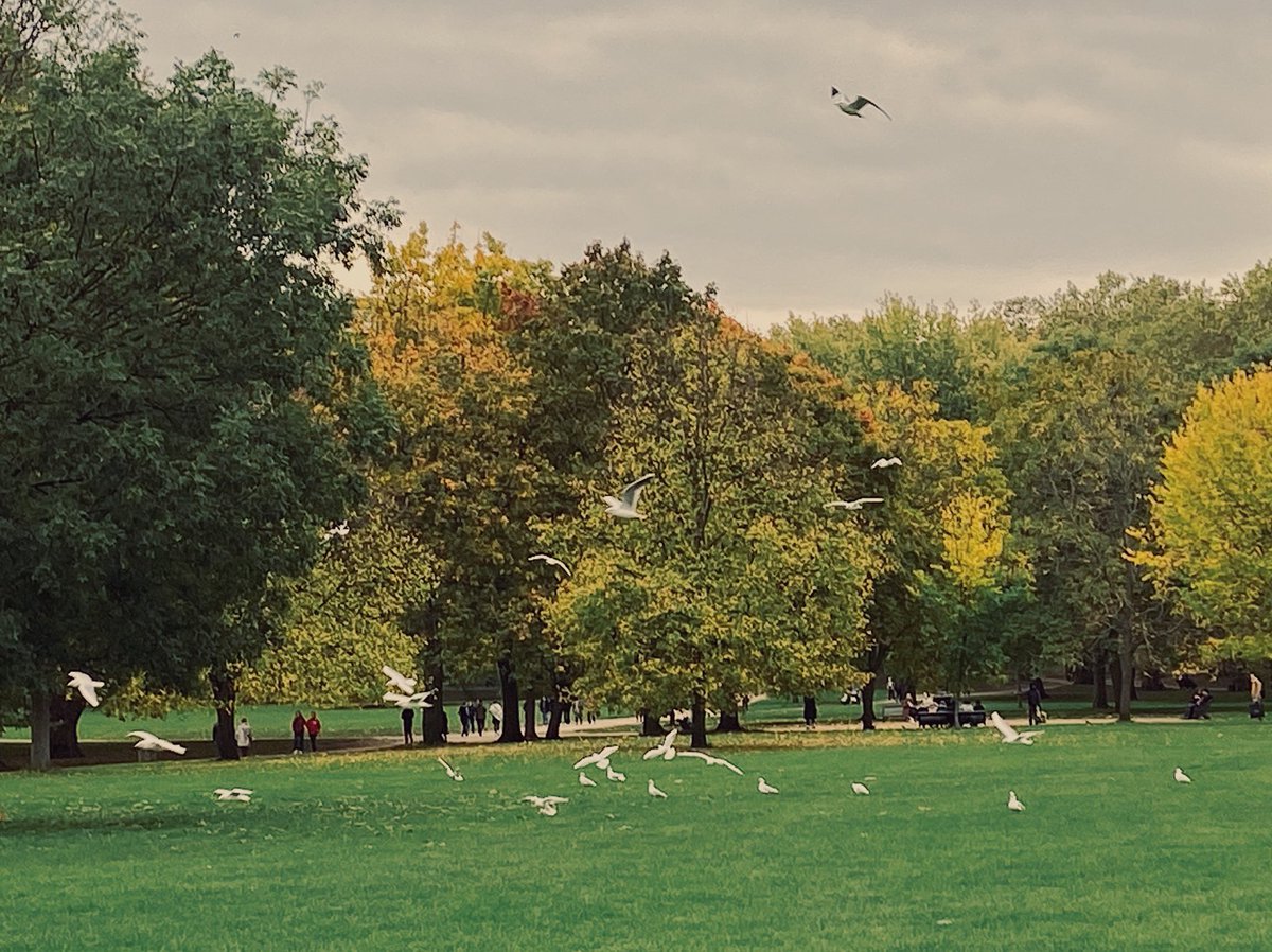 BextiyarCom's tweet photo. London Handy｜Green Park Green Park🚩, Green looks even greener when you come to Green Park on a cloudy day🌲 https://t.co/qWYhtTnLiD