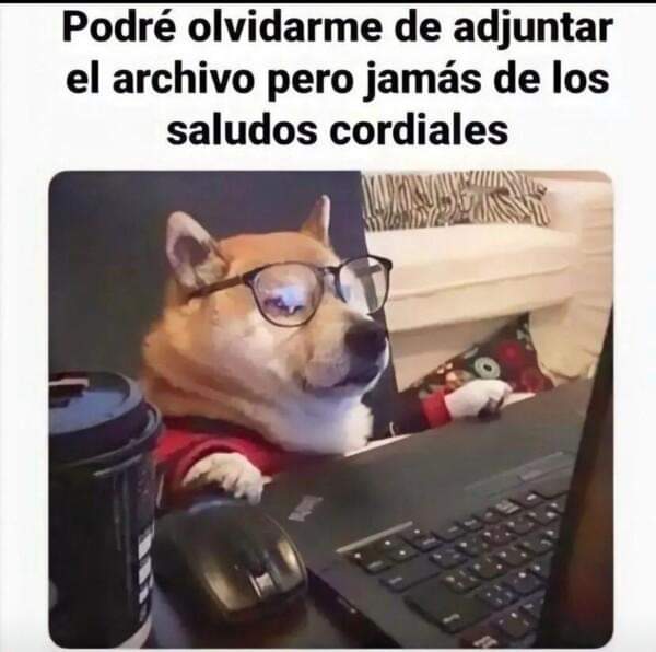 Si soy