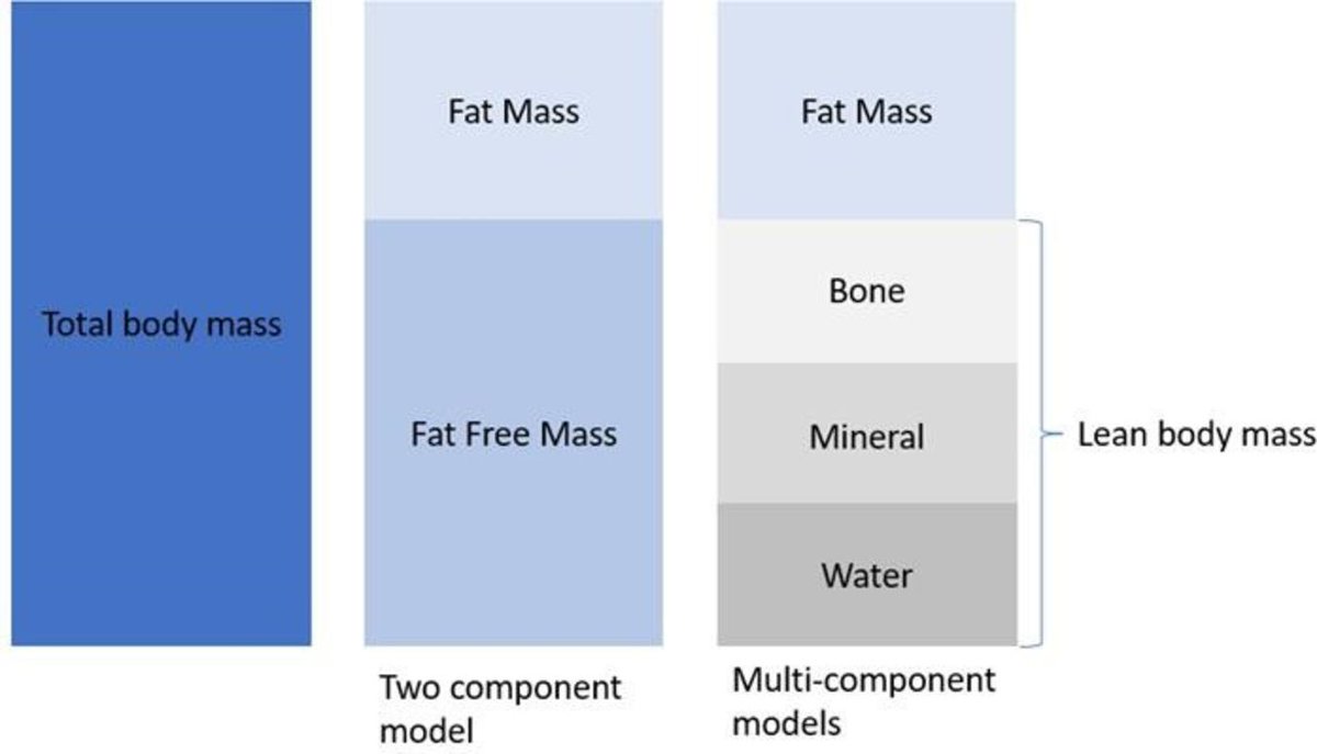 What is the point of measuring body composition in children?

Potentially v useful:
- Correlates to many disease status or prognosis
- May help management

Read this excellent review
<a href="/dremilyprior/">Emily</a> <a href="/DrCGale/">Chris Gale</a>
ep.bmj.com/content/early/…