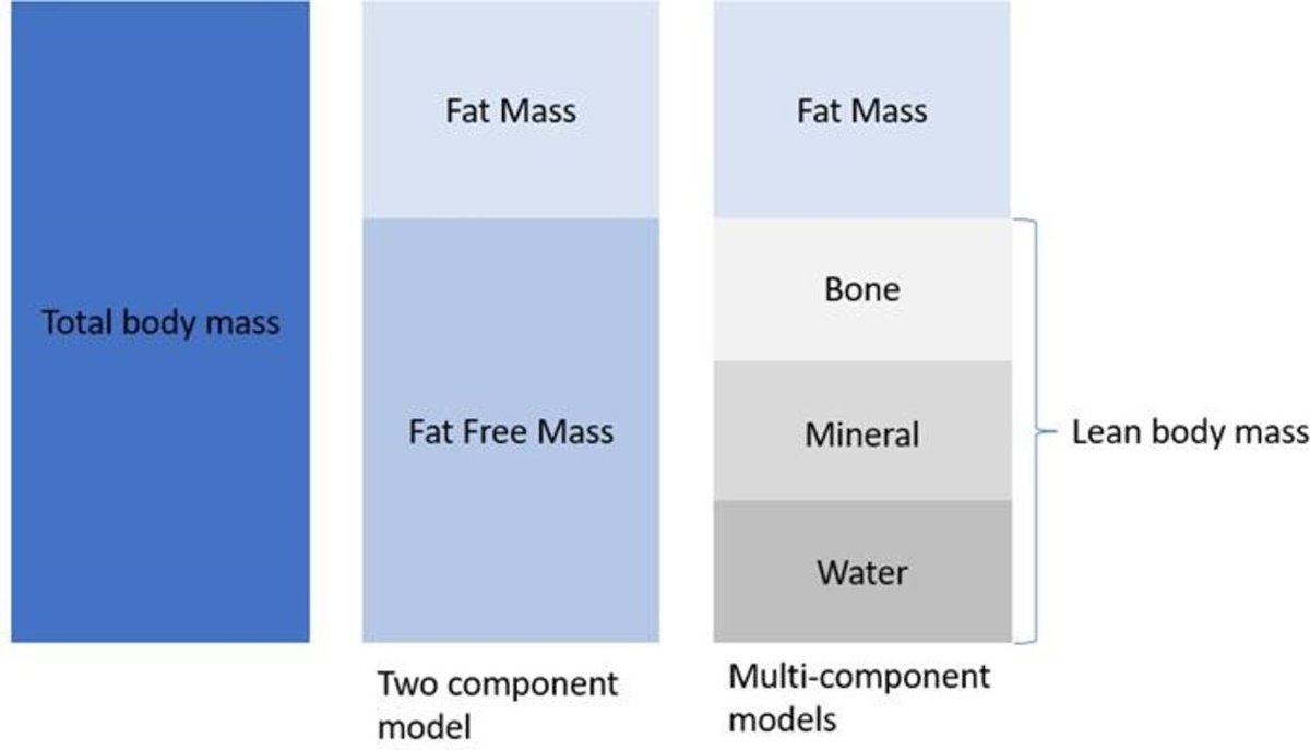 What is the point of measuring body composition in children? Potentially v useful: - Correlates to many disease status or prognosis - May help management Read this excellent review @dremilyprior @DrCGale ep.bmj.com/content/early/…