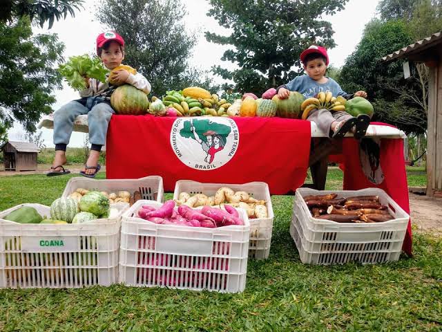 A bancada ruralista que representa o Agro vai sentir a força do apoio que o MST tem. Ricardo Salles não sabe onde se meteu. 

Vamos pra cima. cometa aqui 👇🏼

NINGUÉM MEXE COM O MST