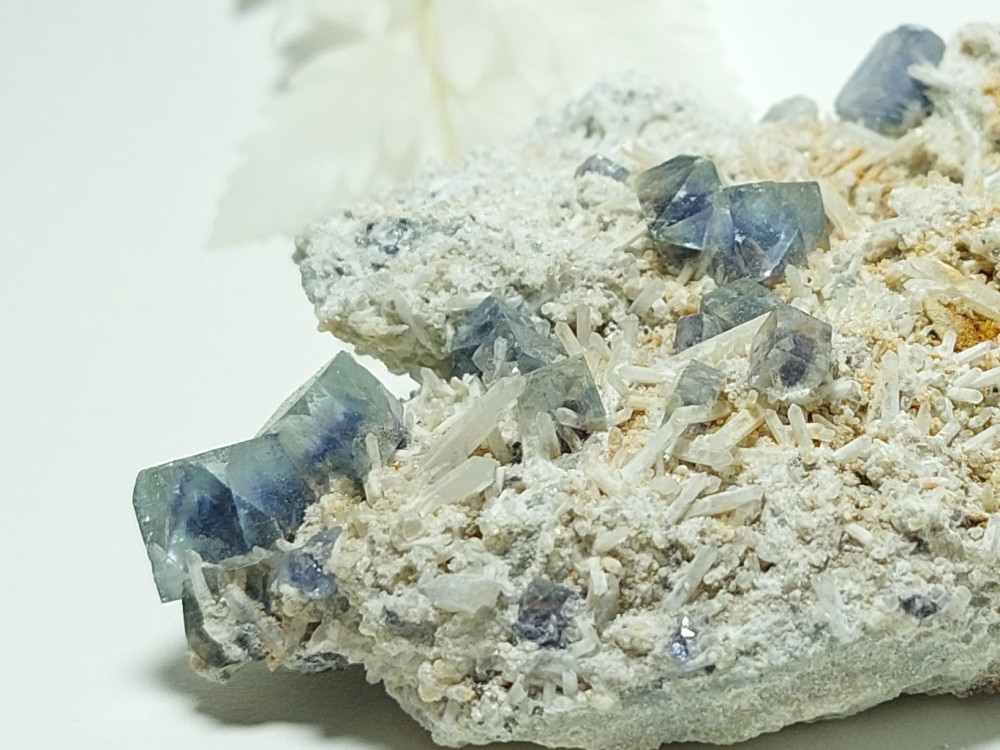 GeeksCrystal's tweet image. 나미비아산 플루라이트/수정 클러스터

m.smartstore.naver.com/crystalgeeks/p…