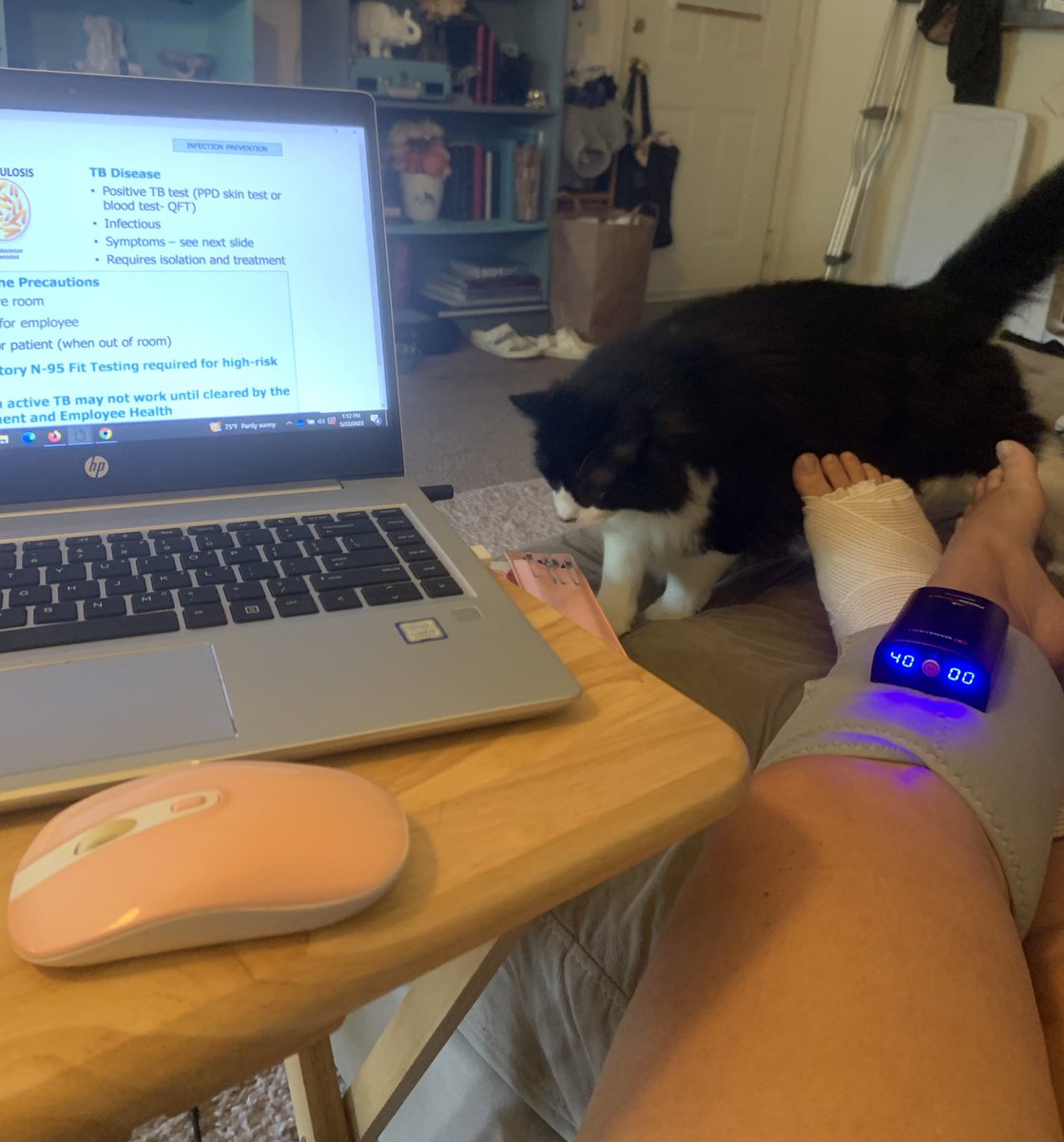 Not a bad work from home setup. Raptor is a good home health aid but I wish he had thumbs #ATinRecovery #anklesurgery #lateralanklerepair