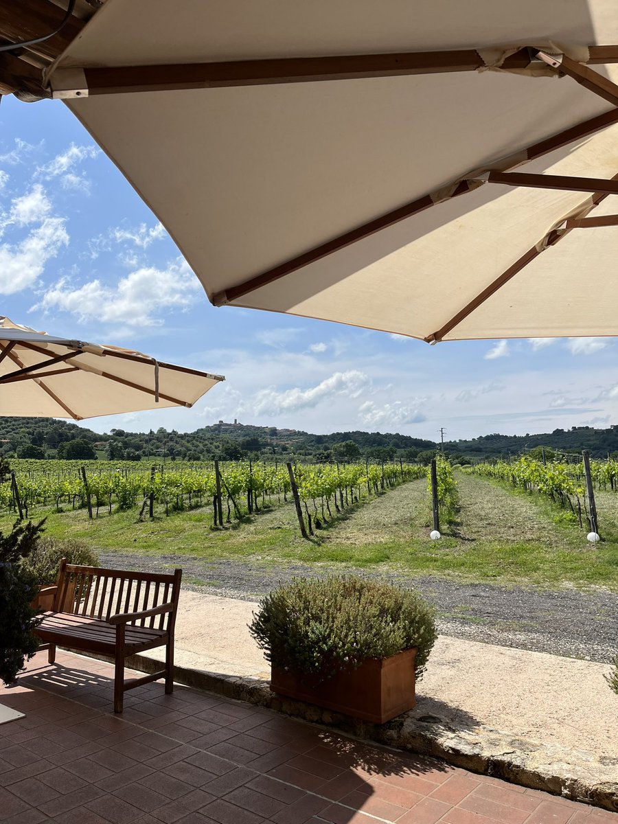 Giornata stupenda dopo molti giorni di pioggia in #Maremma #Toscana 

Vista su #Montemerano dai nostri vigneti

<a href="/tannin_time/">TanninTime</a> <a href="/InfoMorellino/">Morellino</a>