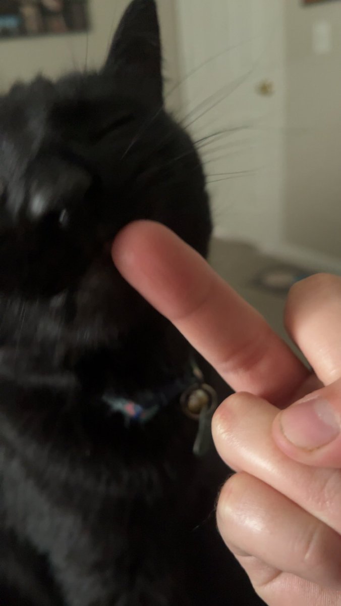 lindseyncop's tweet image. gina is 3 today 🥹🥳