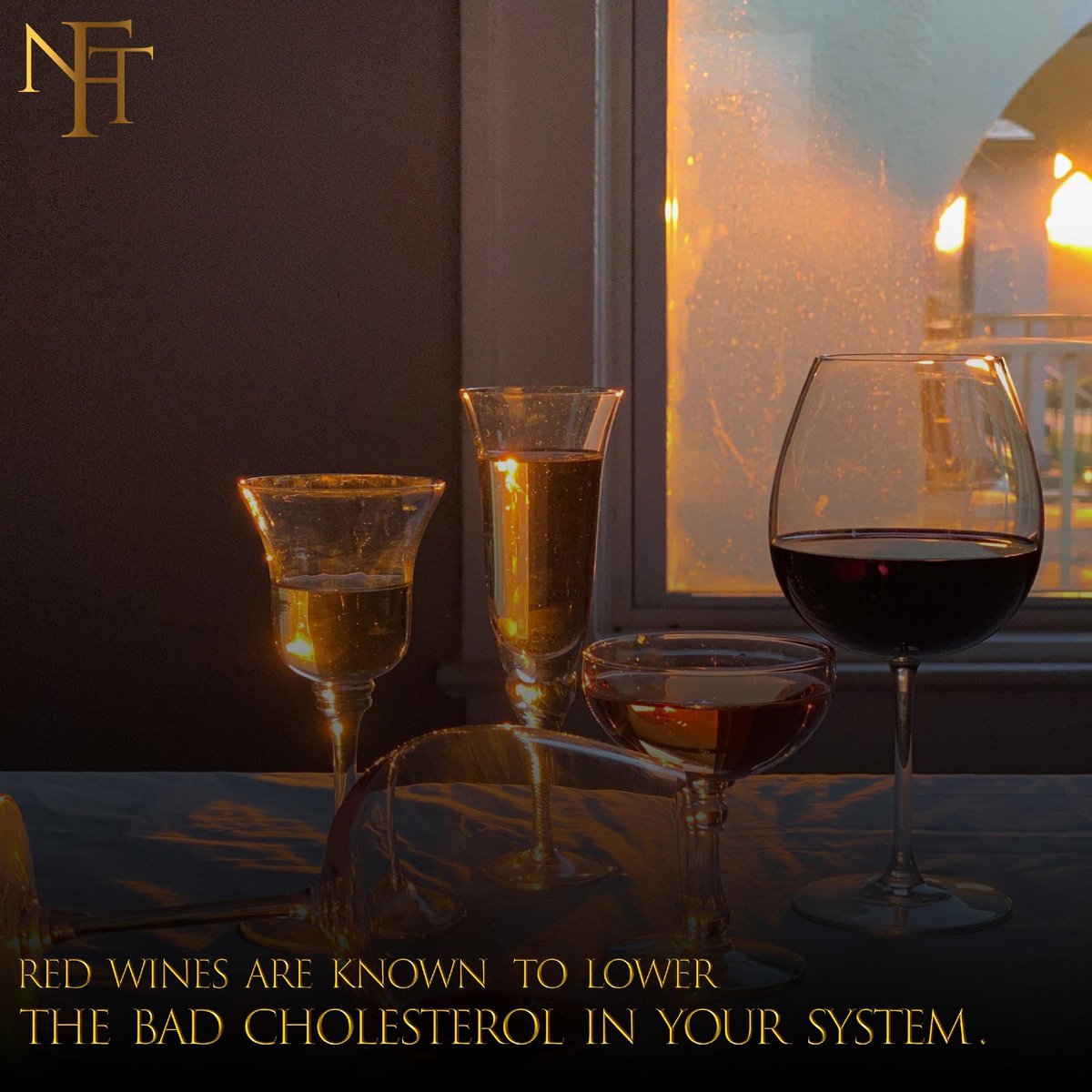 Cheers to good health:

Wine and cholesterol reduction!🍷💪

 #winelover #healthylifestyle

Learn more join.nftwineclub.com

#nftwineclub #winery #winerylove #instawine #vinolove #wine #foodandwine #winetime #spanishwine #winetasting #winoclock #wineblogger #springvibes #wines
