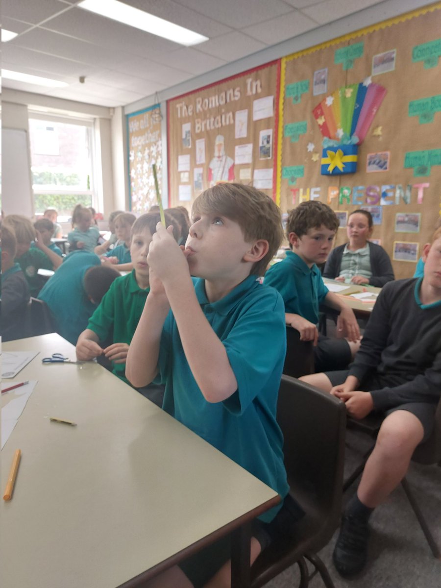 Year 4 at English Martyrs tweet media