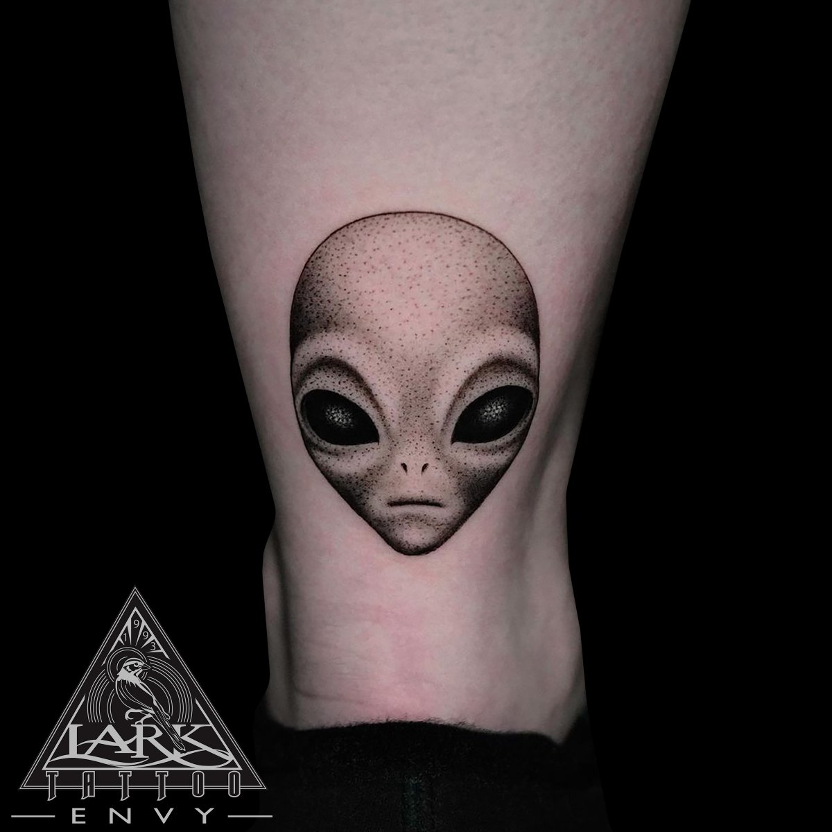 Lark Tattoo tweet media