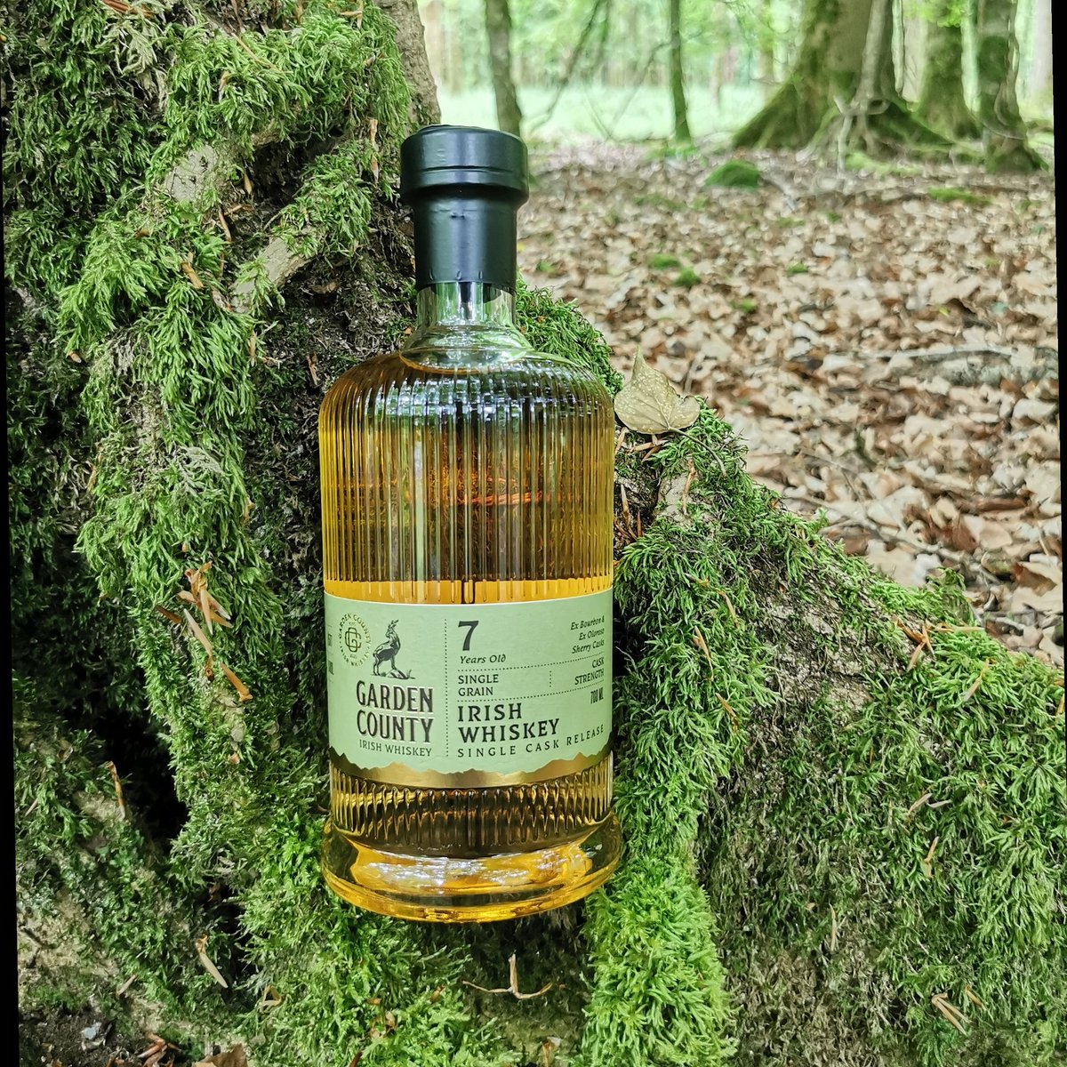 Introducing our 7YO Single Grain Single cask whiskey 😎🥃 Only 577 bottles at 51.3%ABV, Ex-Bourbon barrels, finished in Oloroso Sherry barrels for 2+years. Available very soon #IrishWhiskey