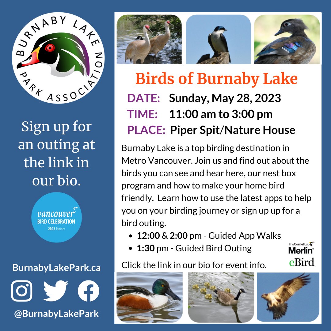 Join us at our #VanBirdParty this Sunday! Learn how to use birding apps to help ID birds and keep track of them, ensure your home is #birdfriendly or sign up for a guided outing! 
#BurnabyBirds #BurnabyBirdTeam
burnabylakepark.ca/events/event/b…