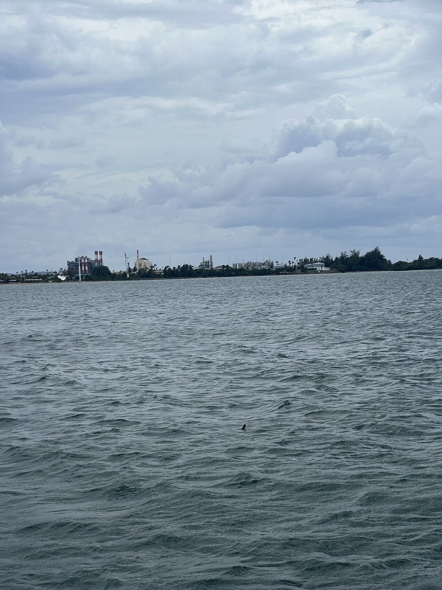 KarlCo's tweet image. Peurto Rico Changed my life.