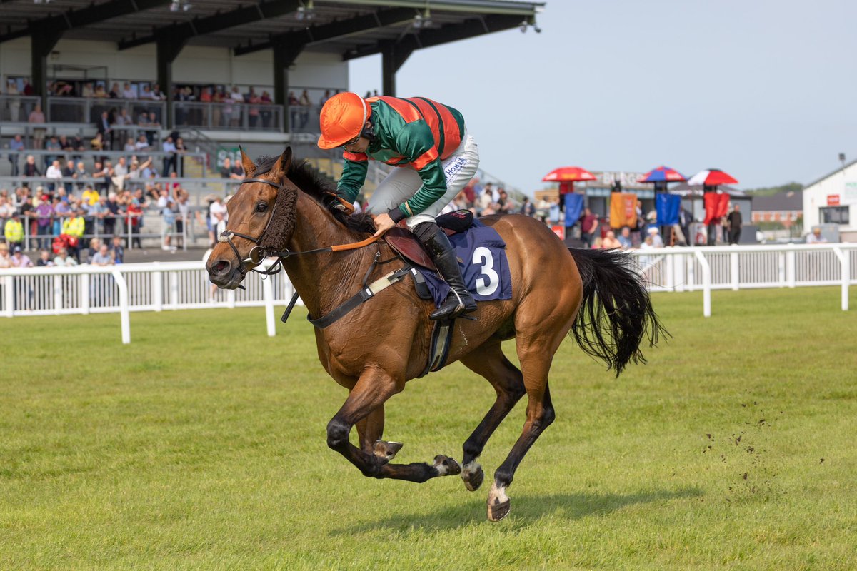 RACE 6 RESULT- Play With The Finest Bookmaker @Fitzdares Handicap Chase 🥇Easkey Lad 17/2 🥈Unblinking 6/1 🥉O’Faolaons Lad 14/1 Jockey: @BenJone04644251 Trainer: @rebcurtis Owners: Miss Sarah Carter