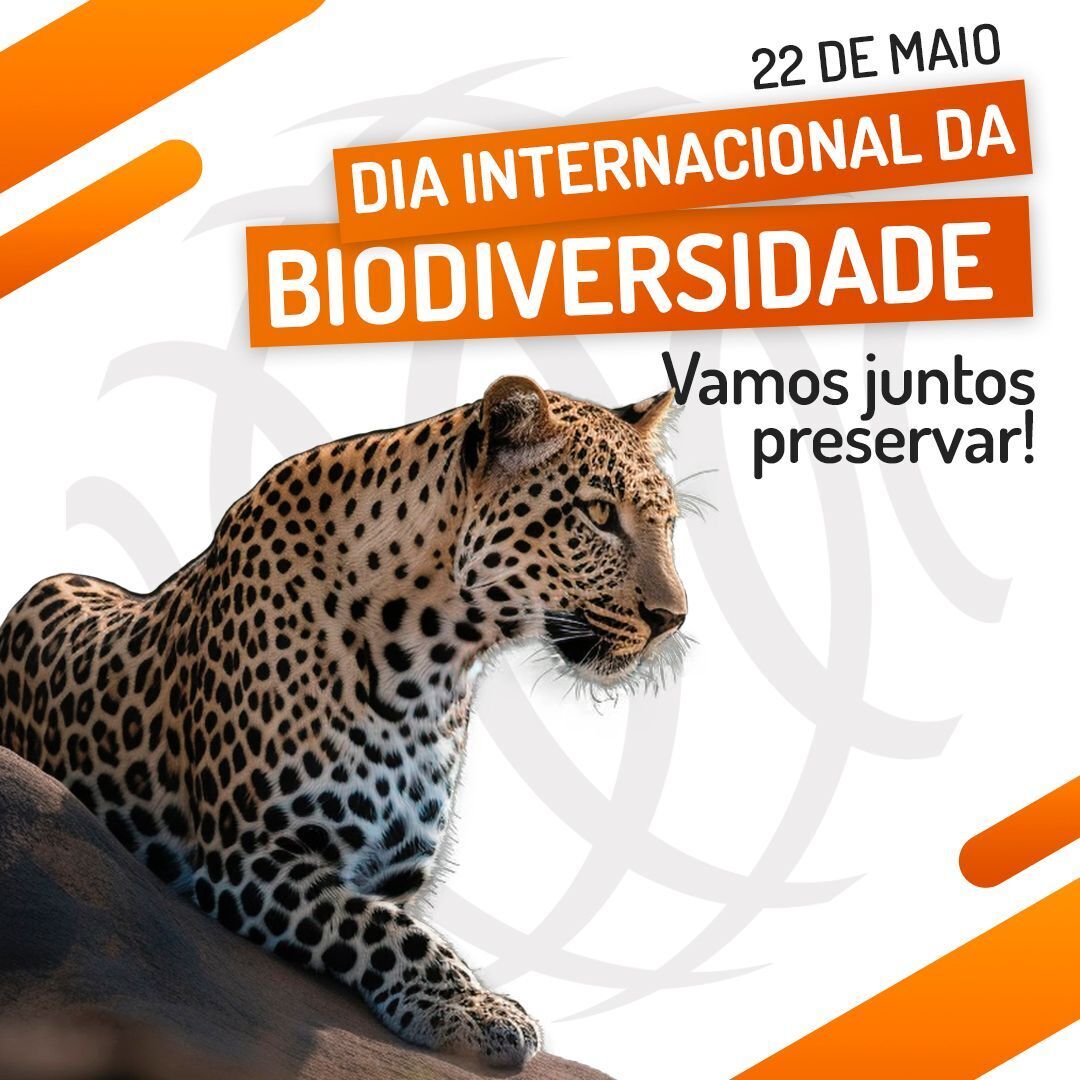 RVComunicacao's tweet photo. Biodiversidade é água, é alimento, é regulação do clima, é saúde, é moradia, é bem-estar, é sobrevivência. Vamos juntos preservá-la! #DiaInternacionaldaBiodiversidade https://t.co/XA3flxotWF