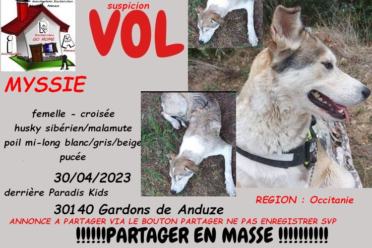 Kate23170's tweet photo. merci de RT pour nous aider a retrouver MYSSIE disparue a Gardons de Anduze 30140 le 30/04/2023 svp . si infos : 07.80.24.66.23

CONTACT FB : https://t.co/UJD8rfzo1I

ou MP à @Kate23170 https://t.co/0V4U6mM9i3