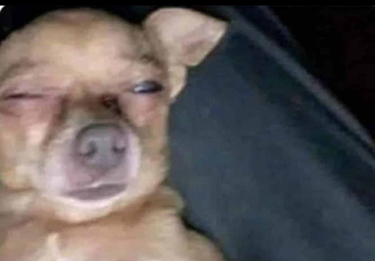 “Uff, que semana tan pesada”

Yo, apenas en lunes.