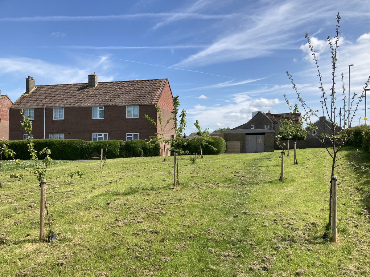 PeasedownTrust's tweet photo. Peasedown St John’s Community Orchard turn 2 this year… and it’s looking fab 🤩 🌳 🍏 

Thanks to the team at @Curo_Group who look after it so well 👏 

#Peasedown #CommunityOrchard #OutsideSpaces https://t.co/6nt58FiGg8