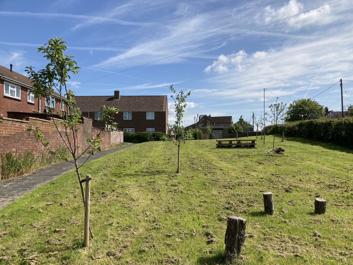 PeasedownTrust's tweet photo. Peasedown St John’s Community Orchard turn 2 this year… and it’s looking fab 🤩 🌳 🍏 

Thanks to the team at @Curo_Group who look after it so well 👏 

#Peasedown #CommunityOrchard #OutsideSpaces https://t.co/6nt58FiGg8