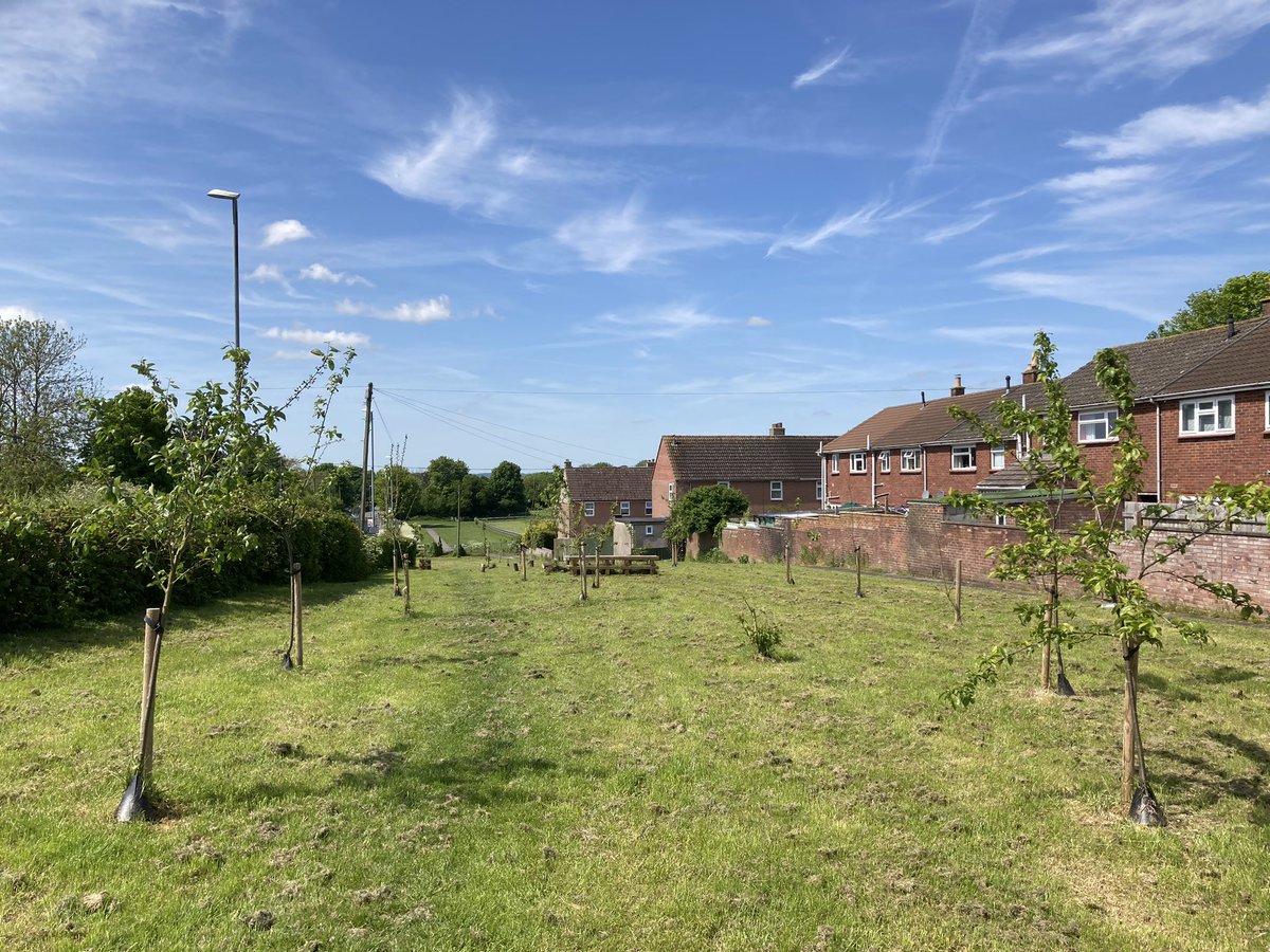 PeasedownTrust's tweet photo. Peasedown St John’s Community Orchard turn 2 this year… and it’s looking fab 🤩 🌳 🍏 

Thanks to the team at @Curo_Group who look after it so well 👏 

#Peasedown #CommunityOrchard #OutsideSpaces https://t.co/6nt58FiGg8