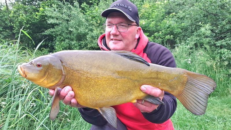 Vangstenregistratie.nl tweet media