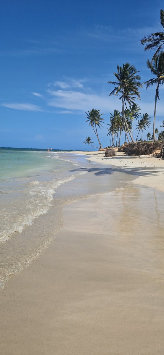 StaceyHigham88's tweet photo. Had the best time in Dominican Republic 🇩🇴 thank you to @ClaireHouse for helping us make this possible 🥰 knowing our princess was cared for by the hospice we was able to holiday with the family (all 16 of us) celebrating wedding anniversary big 10th year for us come Sept! ❤️ https://t.co/KOrqhMXM5M