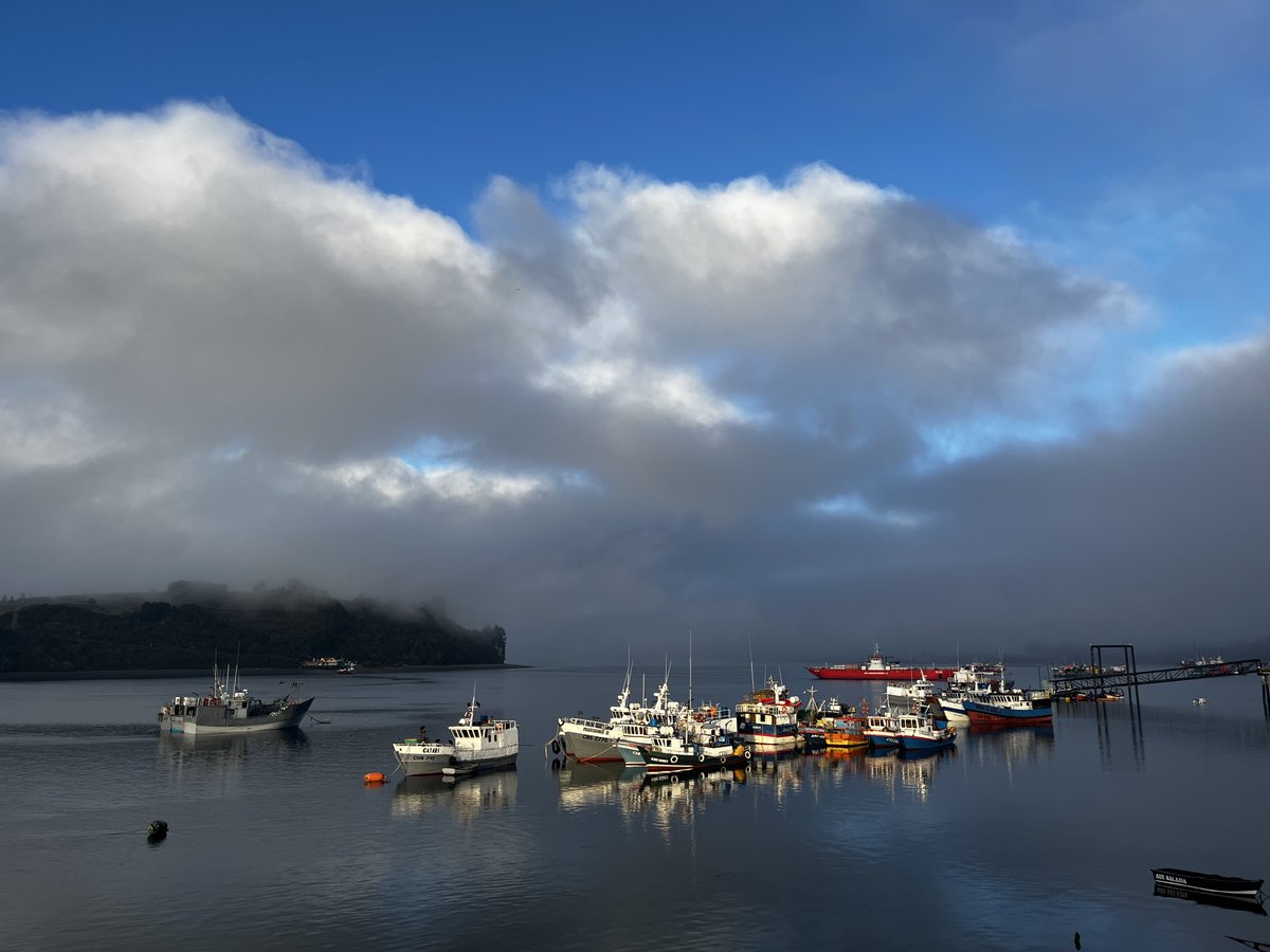 AlgaLab's tweet photo. Buenos días, desde Dalcahue comenzando otra jornada de trabajo 💪🙌
#AlgalabEnChiloe #AlgalabEnTerreno #Algas #chiloe #chiloeisland #chile #seaweeds #dalcahue https://t.co/LP4N4UlThk
