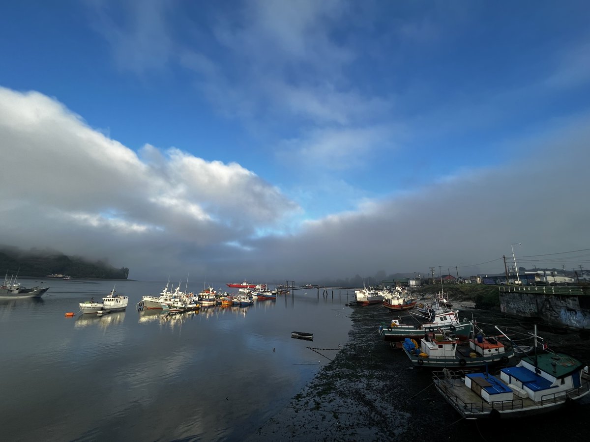 AlgaLab's tweet photo. Buenos días, desde Dalcahue comenzando otra jornada de trabajo 💪🙌
#AlgalabEnChiloe #AlgalabEnTerreno #Algas #chiloe #chiloeisland #chile #seaweeds #dalcahue https://t.co/LP4N4UlThk
