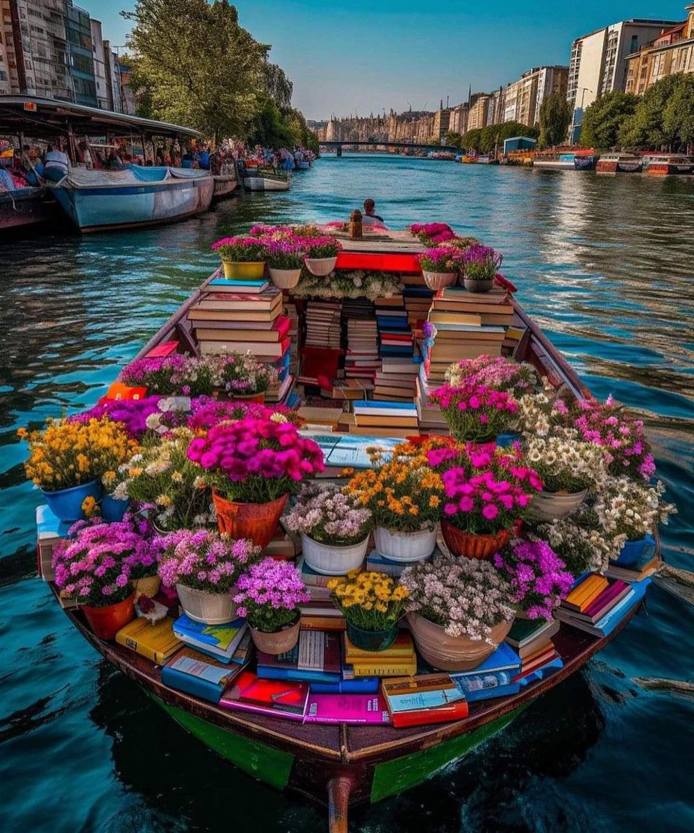 Una biblioteca nautica. Meravigliosa 📚