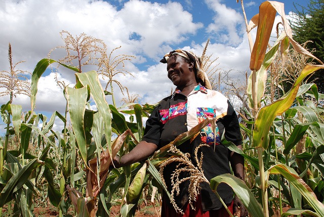 jlucasrestrepo's tweet photo. We cannot realize ambitious #AgDev goals without greater #empowerment of country partners of #NARIS.
This is why we have created the Capacity Sharing for Development program #CapSha4Dev, to facilitate co-learning and delivering with/for/through partners🤝
More info coming soon... https://t.co/F4oupu5Bag