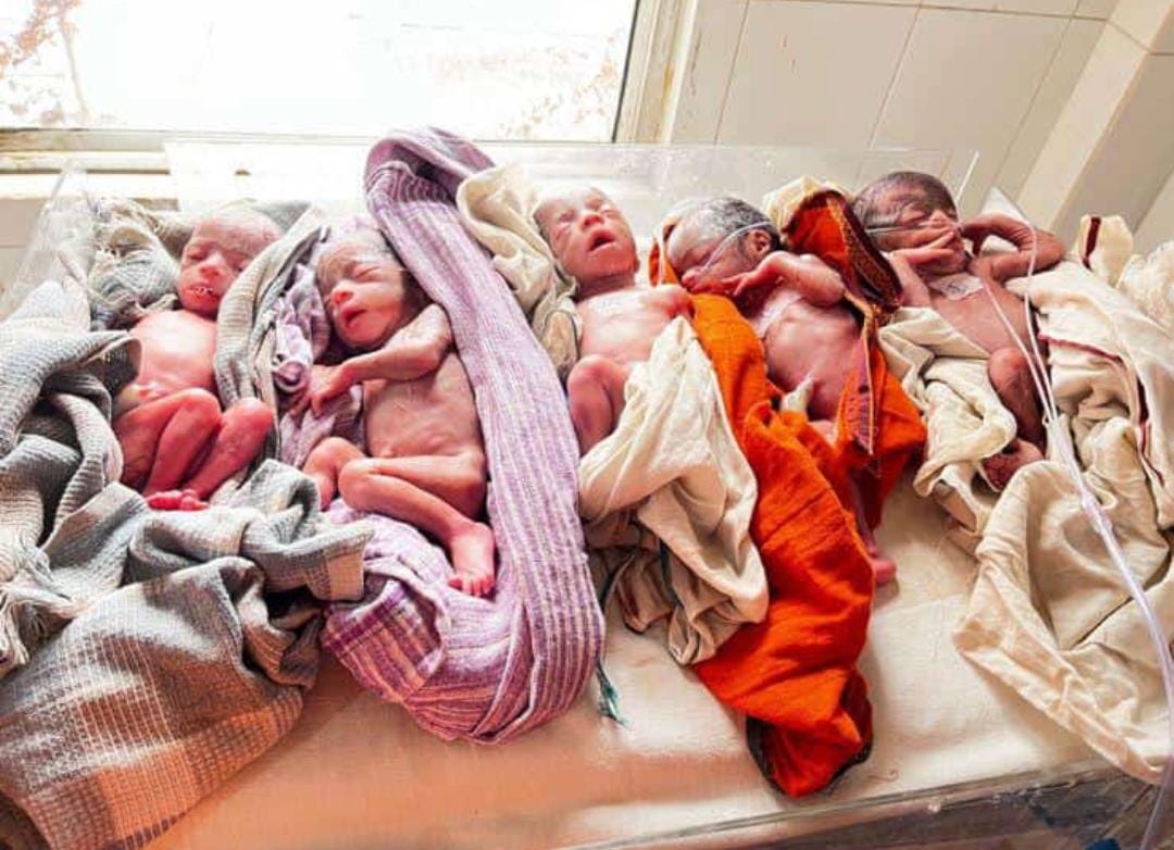 रिम्स के महिला एवं प्रसूति विभाग में इटखोरी चतरा की एक महिला ने पांच बच्चों को जन्म दिया है। बच्चें NICU में डाक्टरों की देखरेख में हैं। डॉ शशि बाला सिंह के नेतृत्व में सफल प्रसव कराया गया। 

<a href="/HLTH_JHARKHAND/">Health Jharkhand</a>