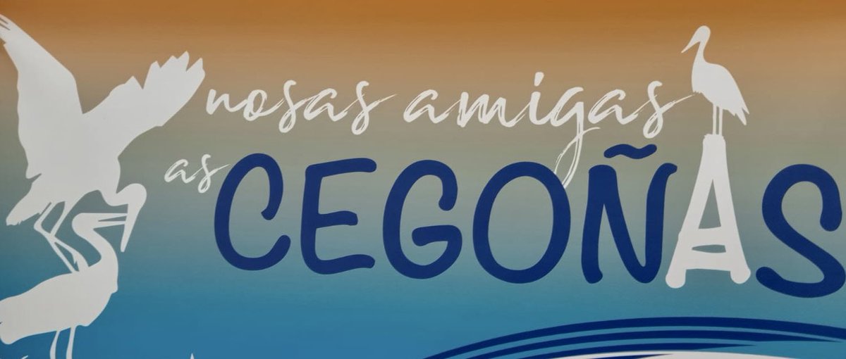 AmigosCegonas's tweet photo. Conocer y respetar a la Cigüeña blanca (Ciconia ciconia) exposición itinerante con la colaboración de @Ecoloxistasou hoy inauguramos en @franciscanasOU 
Gracias a todas y especialmente a @KumariaDocampo y a Lalo González https://t.co/cPyMvzkN5T