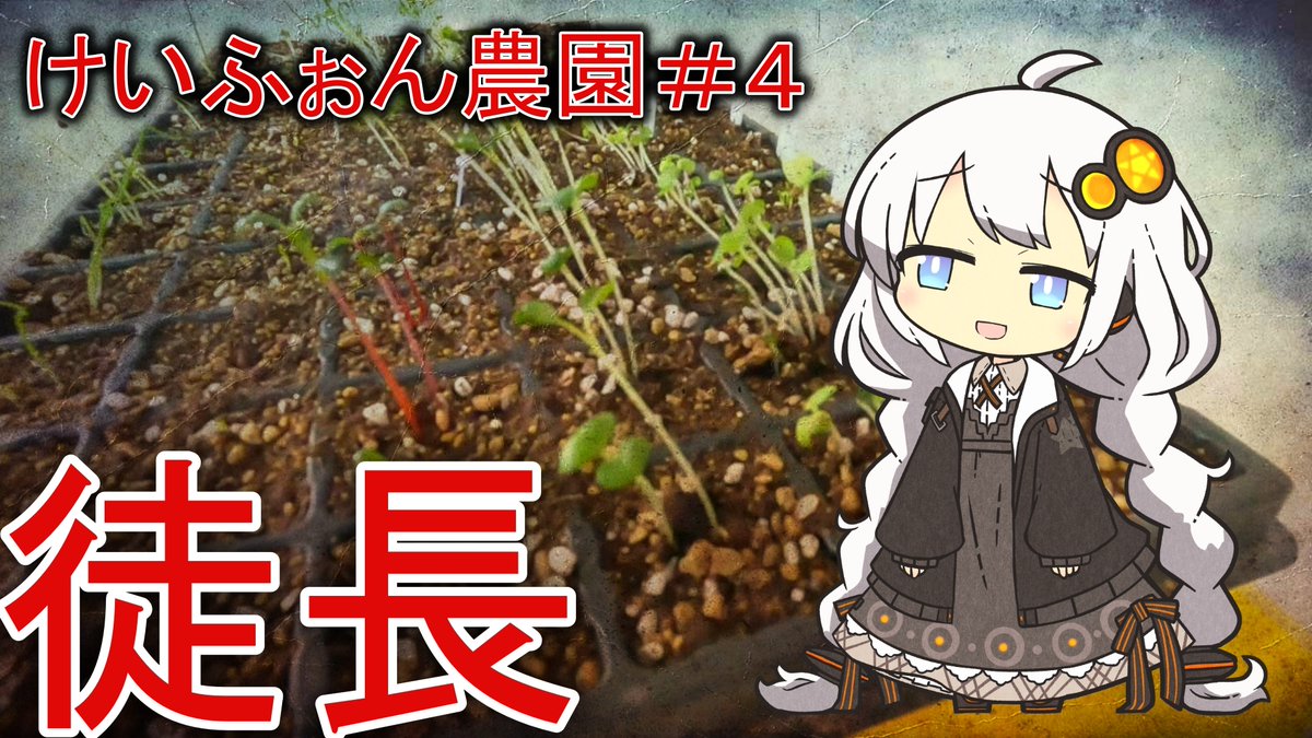 KFONDIY's tweet photo. 【けいふぉん農園＃４】徒長すると地獄です／インターバル撮影編 https://t.co/chIZrUKiMv @YouTubeより https://t.co/ZwULd9LeQt