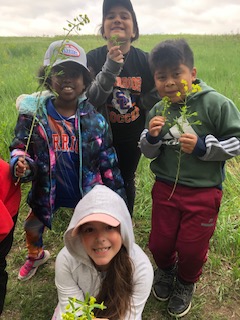 Sioux Center CSD (Kinsey and Intermediate) tweet media