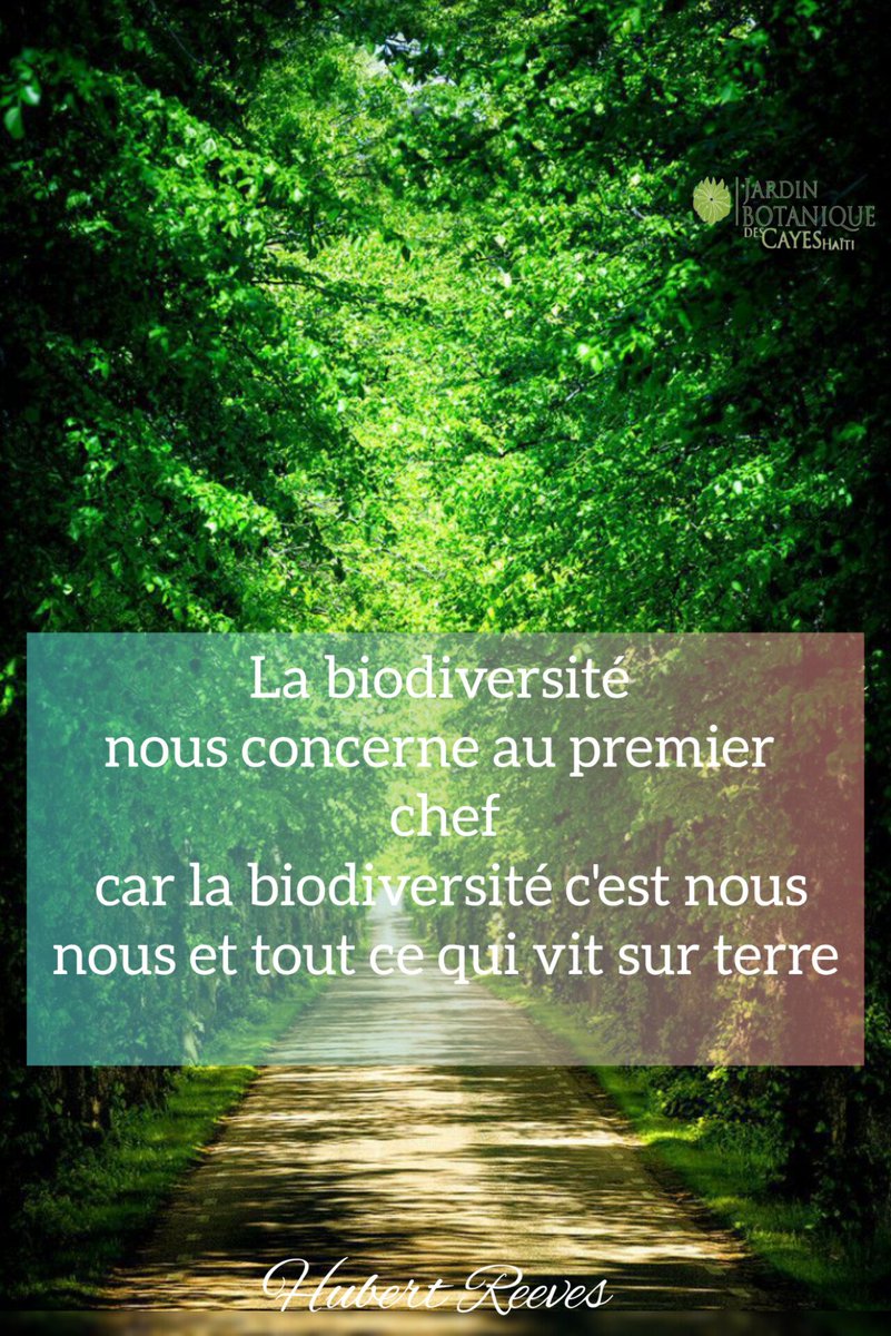 JardinBotaniquecayes tweet media