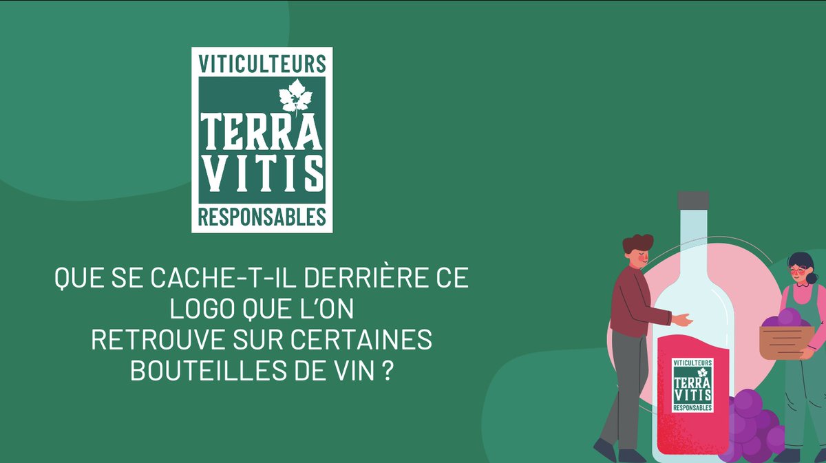 Aujourd'hui,formation de cavistes des <a href="/CavesNicolas/">Les Caves Nicolas</a> aux enjeux de la filière &amp; à #terravitis:
✔️1 association de viticulteurs.rices engagés depuis 25 ans,pionnière &amp; novatrice
✔️1 certification #responsable exigeante,contrôlée tous les ans,fondée sur les 3 piliers du DD
✔️1 logo