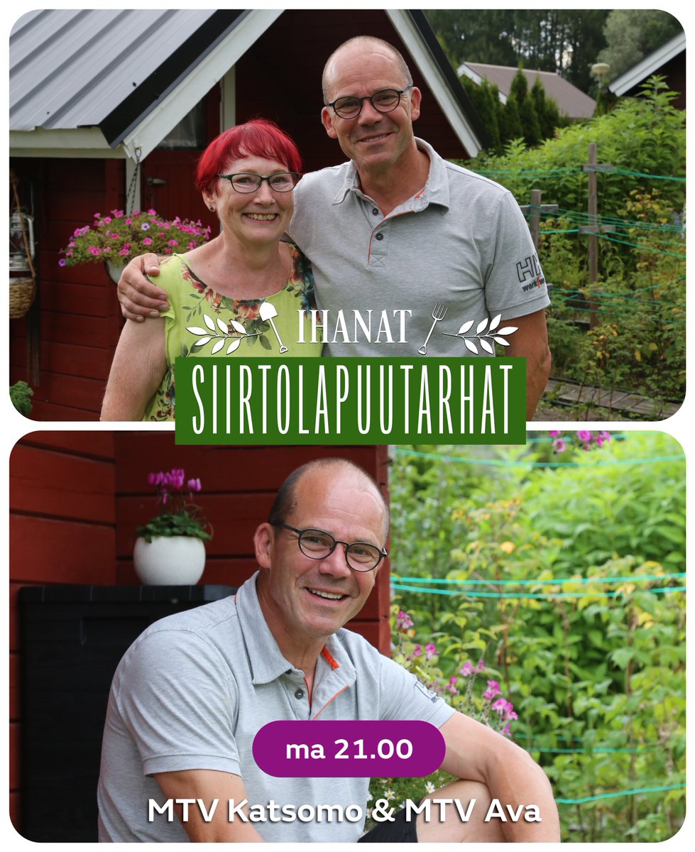 Tänään päästään tutustumaan Lahden Kotiniemen siirtolapuutarhaan, jossa elää edelleen vahvasti yhteisöllisyys ja muiden auttaminen. Nicke auttaa Pirjoa maalaamaan mökkiin uuden pinnan! 🌺 🌻 🌼 🐝 

Ihanat Siirtolapuutarhat, ma 21.00 MTV Avalla ja MTV Katsomossa.