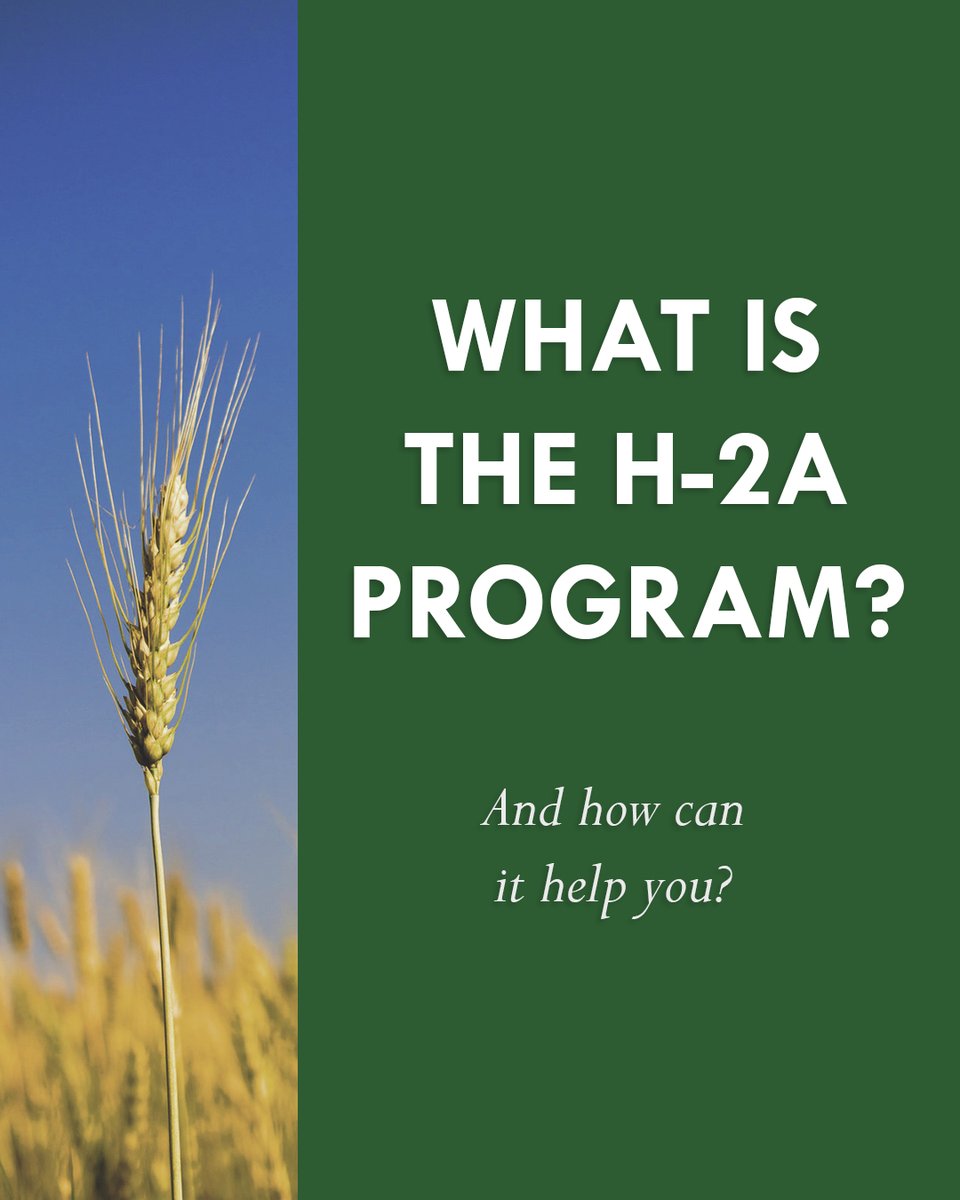 usafarmlabor's tweet photo. Have questions about the H-2A Program or USA Farm Labor? Send us a message, or give us a call at (828) 246-0659. 🚜 https://t.co/yQbhj7Xsxc