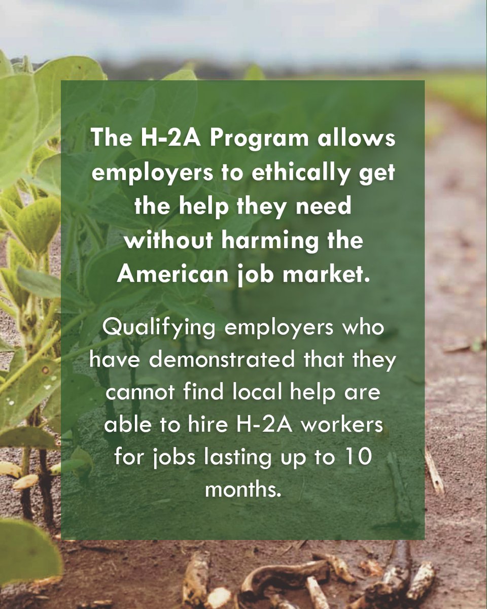 usafarmlabor's tweet photo. Have questions about the H-2A Program or USA Farm Labor? Send us a message, or give us a call at (828) 246-0659. 🚜 https://t.co/yQbhj7Xsxc