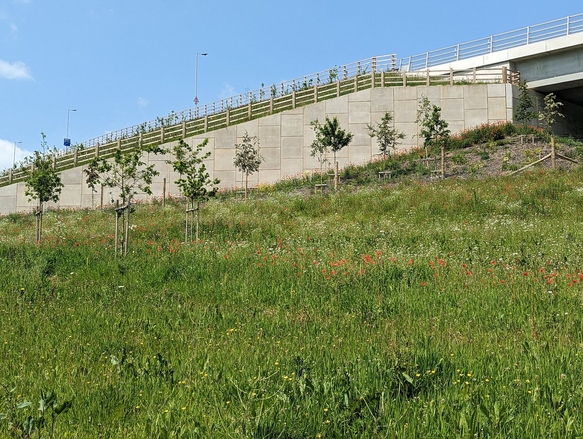 WildDevon tweet media